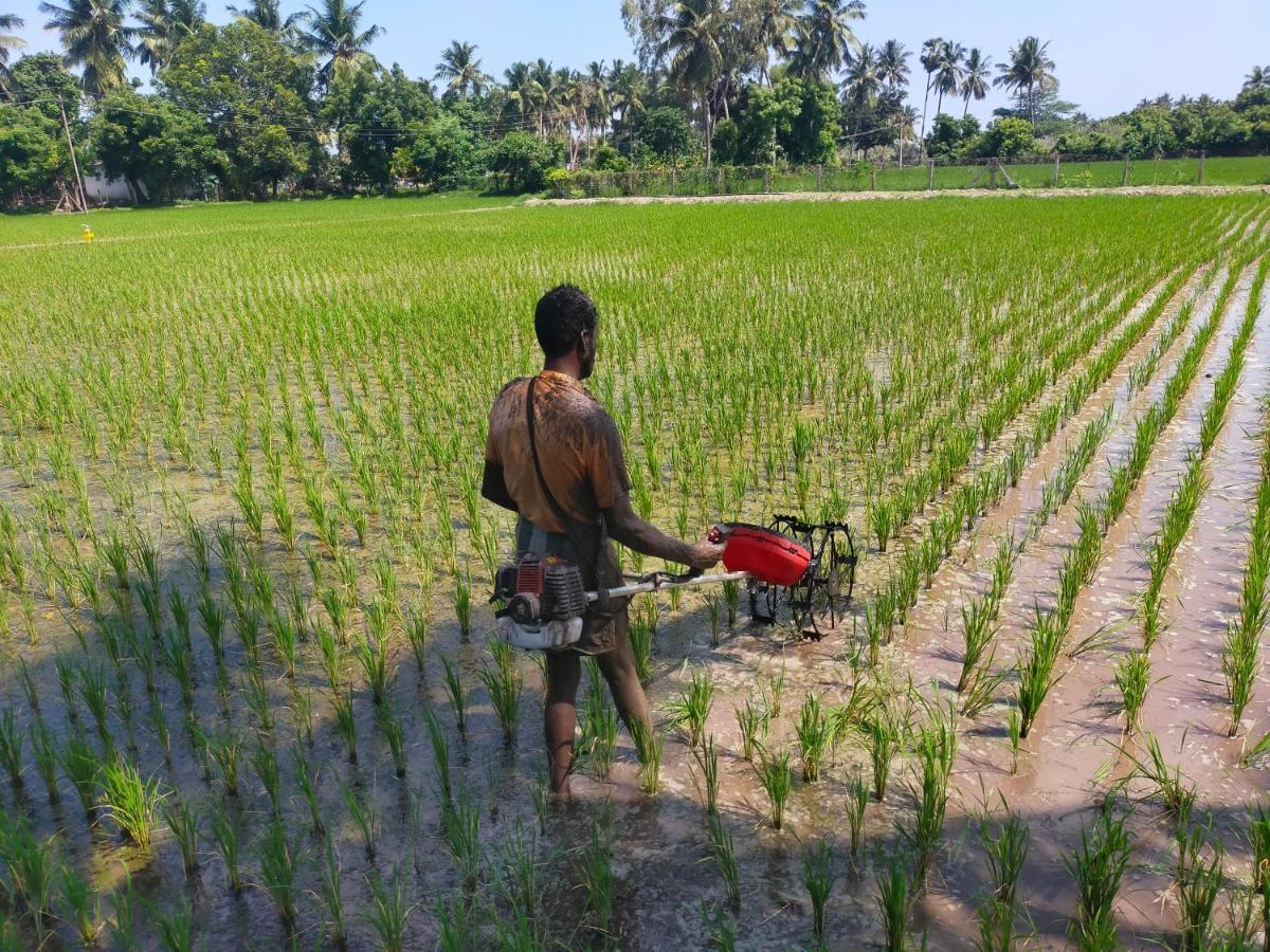 The Farm Crest, Ecr Kadallur Kūvattūr 외부 사진