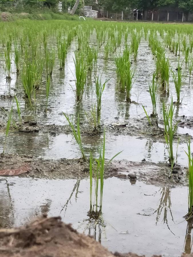 The Farm Crest, Ecr Kadallur Kūvattūr 외부 사진
