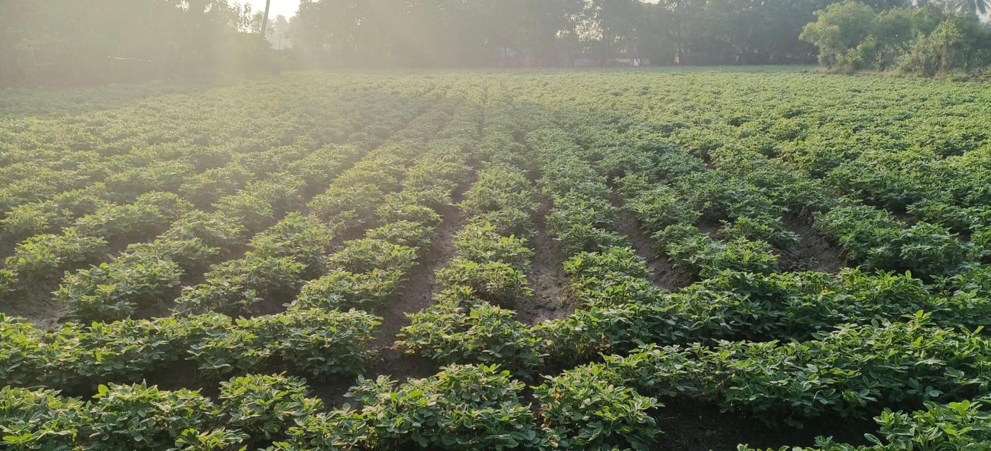 The Farm Crest, Ecr Kadallur Kūvattūr 외부 사진
